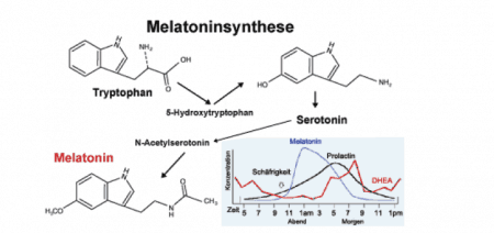 Melantoninsynthese