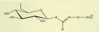 Strukturformel der Glucosinolate