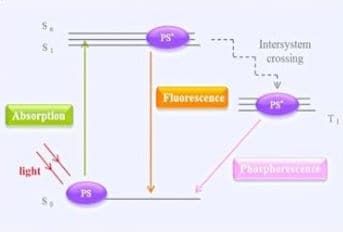 Simplified schematic representation of a Jablonski diagram. 